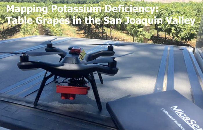 Mapping Potassium Deficiency: Table Grapes in the San Joaquin Valley