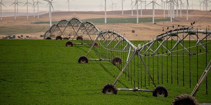 Technology Dramatically Improves Farm’s Efficiency