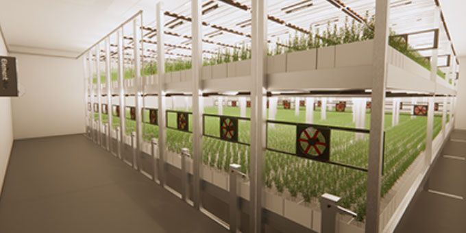 Do's & Don'ts of Commercial Grow Facility Design