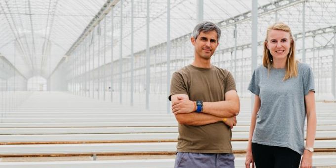 The Greatest Greenhouse Built in Spain in One Unit