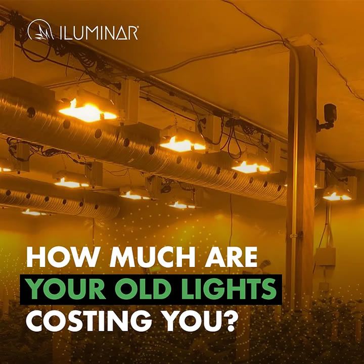 How much are your old lights costing you?