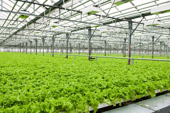 Is Your Vertical Farm Ready for ‘Old Man Winter’?