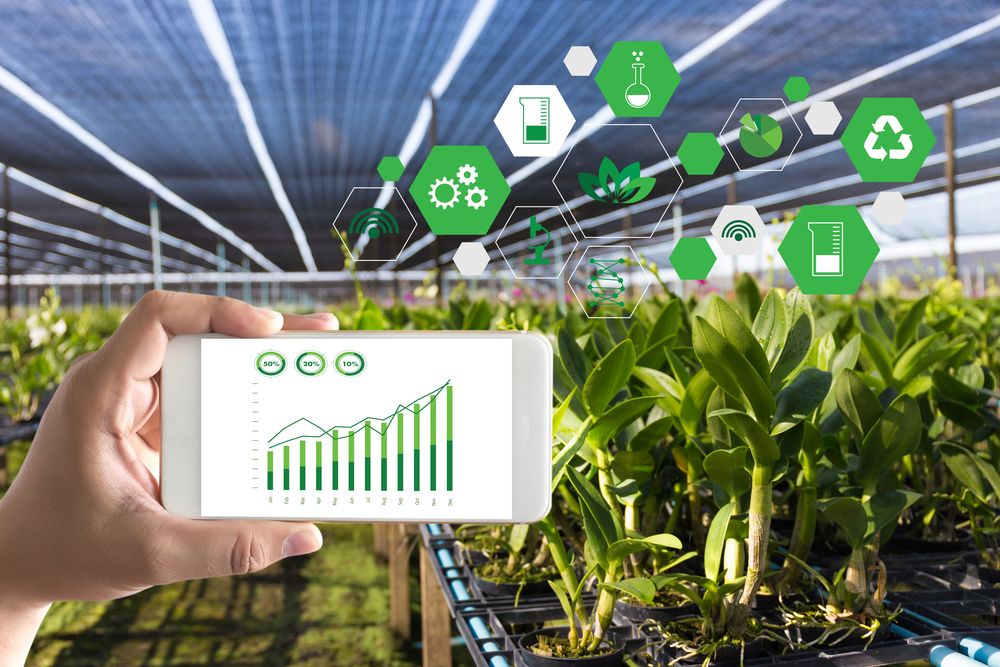 A Data-First Strategy for Big Ag Digital Transformation