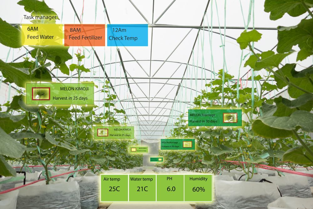 A Closer Look at the Digital Tools Promoting Sustainable Land Use in Agriculture