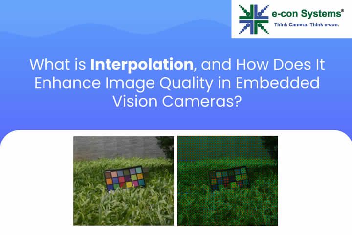 What is Interpolation? Understanding Image Perception in Embedded Vision Camera Systems