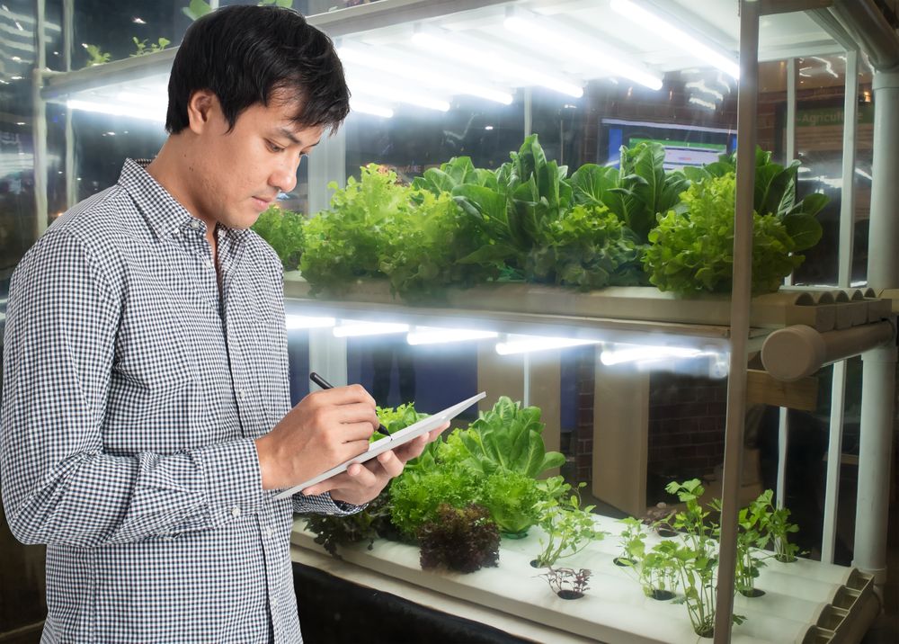 Agtech Startups Face Tough Challenges. How Can They Overcome Them?