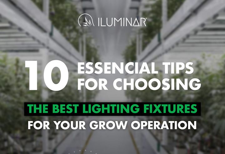 10 Essential Tips for Choosing the Best Lighting Fixtures for Your Grow Operation